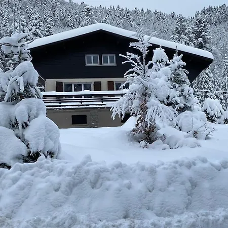 Chalet Des Hauts Sapins La Bresse